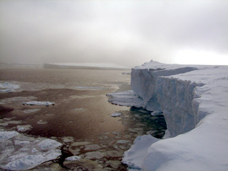 antarctica, icebergs, climate warming